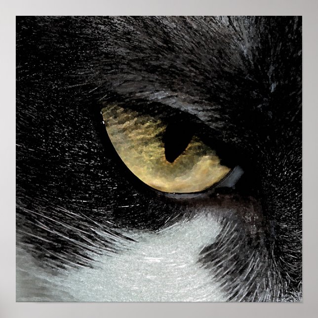 Affiche Oeil du tigre (Devant)