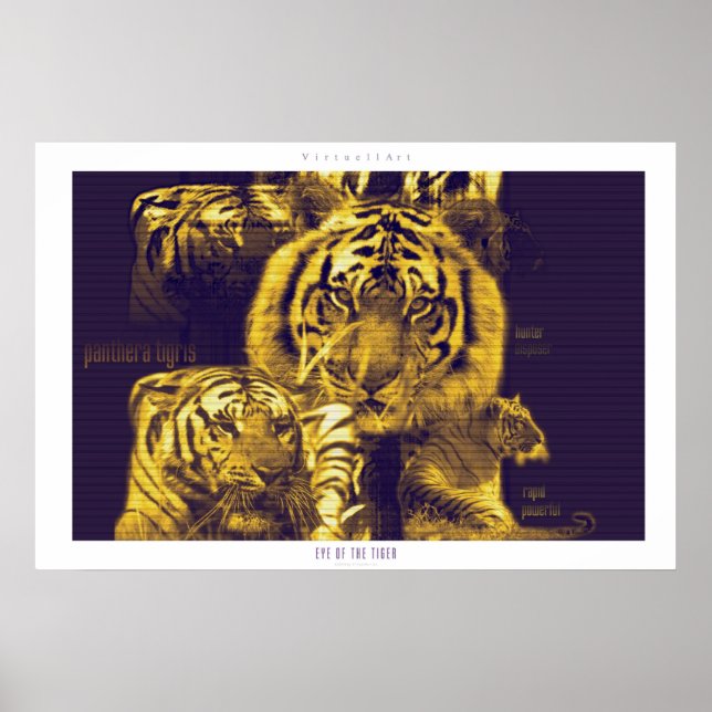 Affiche Oeil du tigre (Devant)