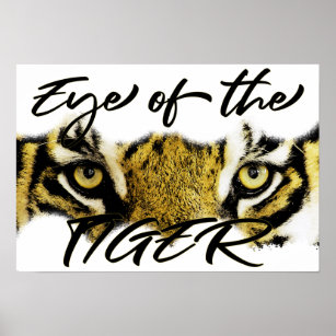 Affiche Oeil du tigre, tigre, motivation, inspiration
