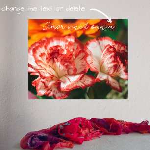 Affiche Oeillets rayés et gerbera