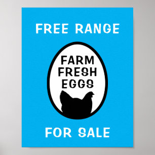 Affiche Oeufs frais de ferme
