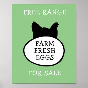 Affiche Oeufs frais de ferme