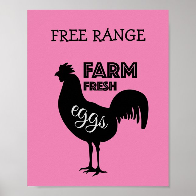 Affiche OEufs frais de ferme à gamme libre (Devant)
