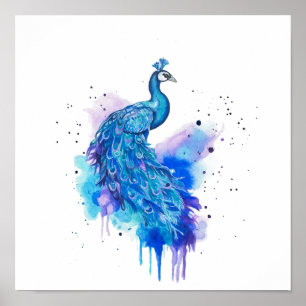 Affiche Œuvre d'art à l'aquarelle Paon Coloré