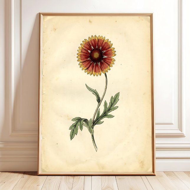 Affiche Œuvre d'art botanique vintage sur mur (Créateur téléchargé)