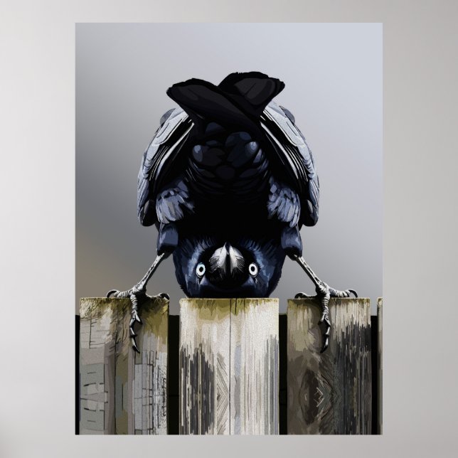 Affiche Œuvre d'art murale corbeau drôle – Oiseau à l'enve (Devant)