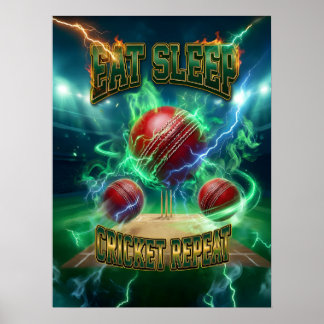 Affiche Œuvre d'art murale de cricket - Rétro 90