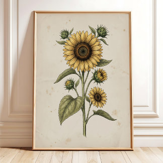 Affiche Œuvre d'art murale de ferme vintage tournesol