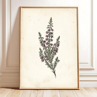 Affiche Œuvre d'art murale de jardin botanique vintage
