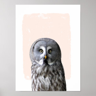 Affiche Oeuvre d'art murale de nurserie de hibou portrait