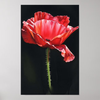 Affiche Œuvre d'art murale. Fleur dans les ténèbres