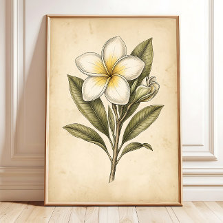 Affiche Œuvre d'art murale florale de plumeria vintage