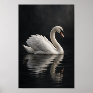 Affiche Œuvre d'art murale représentant un cygne tuberculé