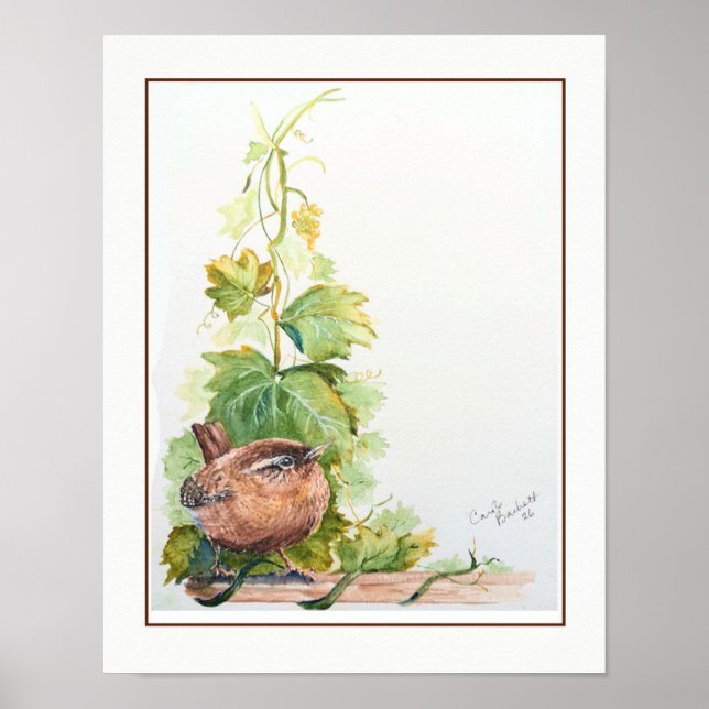 Affiche Œuvre d'art originale aquarelle oiseau Troglodyte  (Devant)