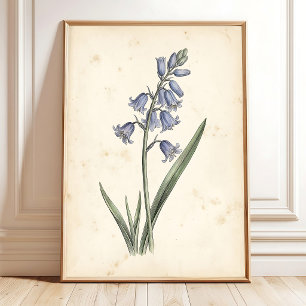 Affiche Œuvre d'art sur toile florale Bleuet Vintage