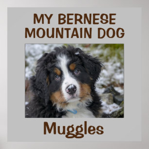 Affiche OEuvre murale de chien personnalisée
