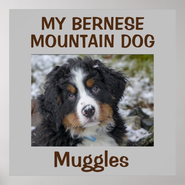 Affiche OEuvre murale de chien personnalisée (Devant)