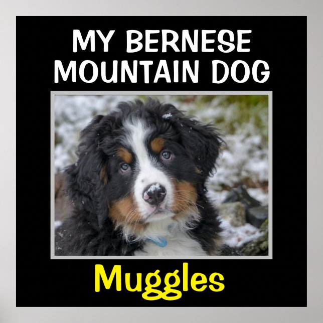 Affiche OEuvre murale de chien personnalisée (Devant)