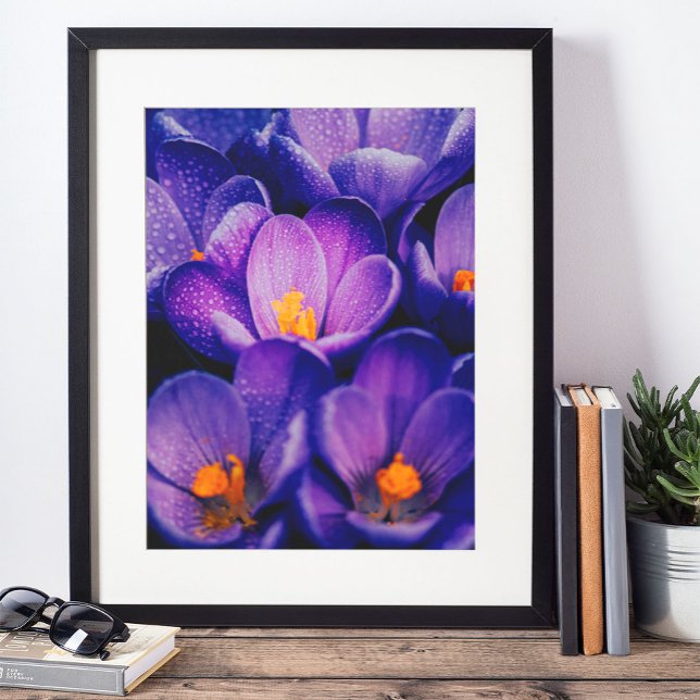 Affiche OEuvre murale de fleurs violettes | Fleur de lotus (Créateur téléchargé)