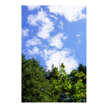 Œuvre murale Érables Ciel Bleu Nuages Blancs Natur