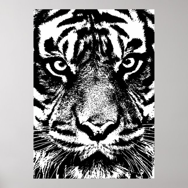 Affiche OEuvre oculaire noir blanc Sumatra Bornéo Tiger (Devant)