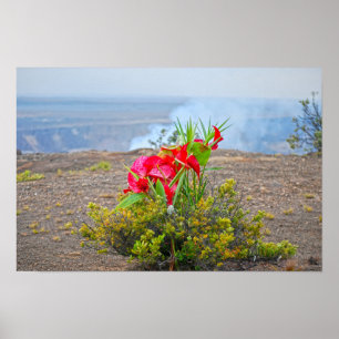 Affiche Offrande à Pele, déesse hawaïenne des volcans