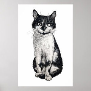 Affiche Ogie le chat