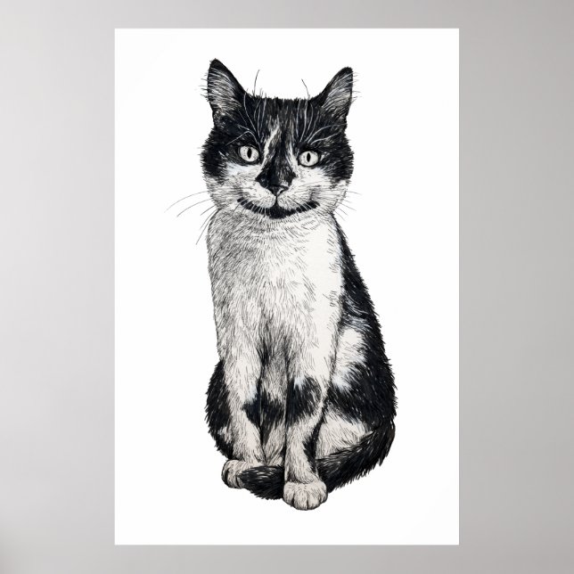 Affiche Ogie le chat (Devant)