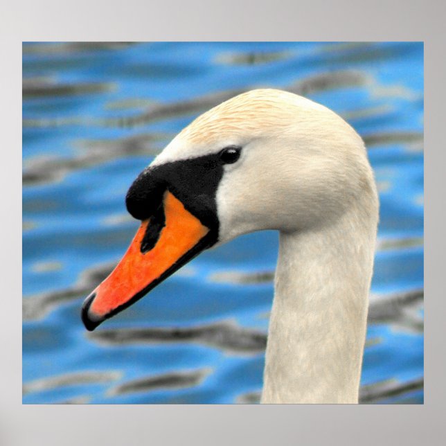 Affiche Oh bonjour (Devant)