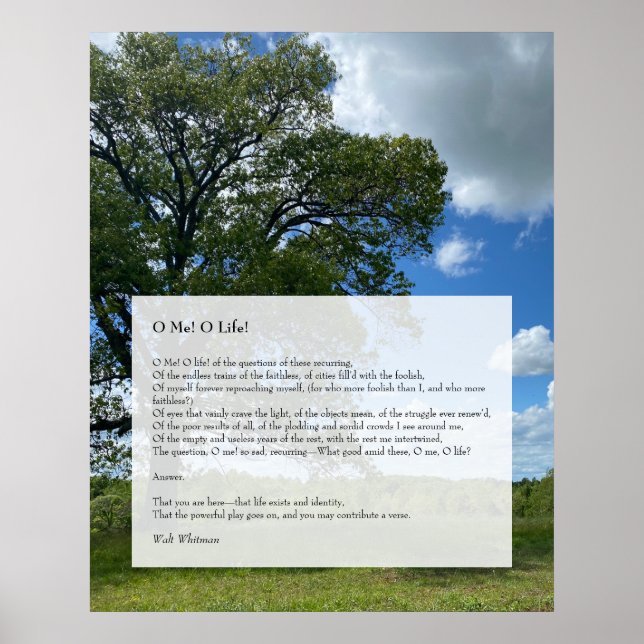 Affiche Oh Me! Oh Life! Walt Whitman Poem, Tree & Blue Sky (Devant)