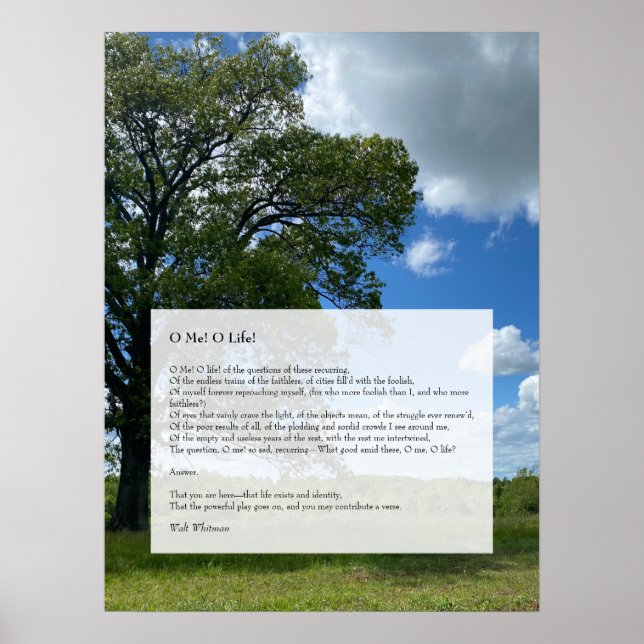 Affiche Oh Moi ! Oh la vie ! Walt Whitman Poem, Tree & Blu (Devant)