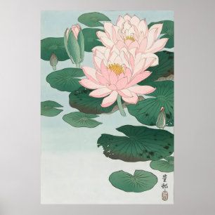 Affiche Ohara Koson Water Lily (1920 - 1930)