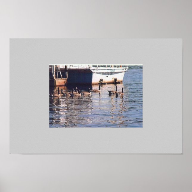 Affiche Oie (Devant)