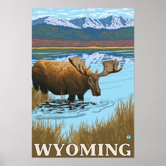 Affiche Oie boit au lac - Wyoming (Devant)