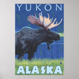 Affiche Oie de nuit - Yukon, Alaska