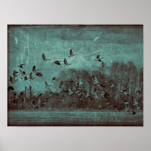 Affiche Oie Vintage Antique Turquoise Texture verte Découp