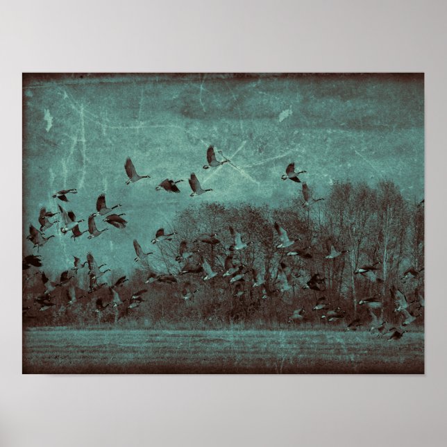 Affiche Oie Vintage Antique Turquoise Texture verte Découp (Devant)