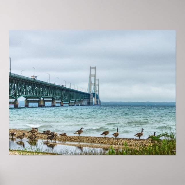 Affiche Oies au puissant Mac (Devant)