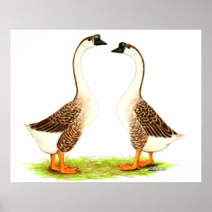 Affiche Oies :  Chinois de Brown