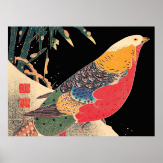 Affiche Oiseau