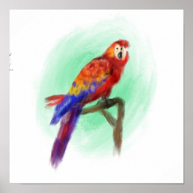 Affiche Oiseau 3 (Devant)