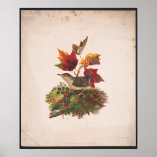 Affiche Oiseau Au Foilage D'Automne Illustration Antique