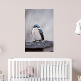 Affiche Oiseau Bleu