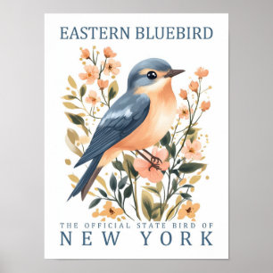 Affiche Oiseau bleu de l'Est de New York États-Unis
