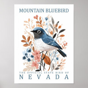 Affiche Oiseau bleu de montagne du Nevada USA