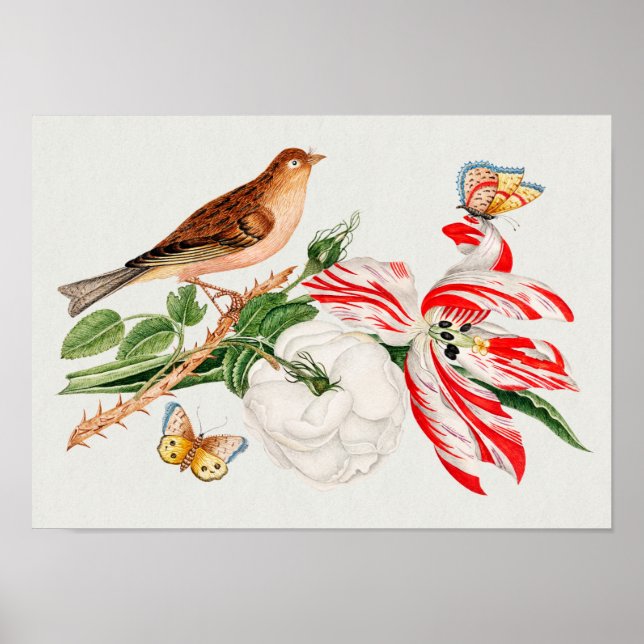 Affiche Oiseau Brown sur une branche (Devant)