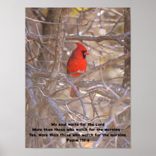 Affiche Oiseau Cardinal Rouge En Attendant Pacifiquement L