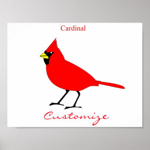 Affiche Oiseau cardinal rouge Thunder_Cove
