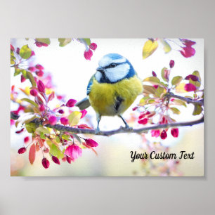 Affiche Oiseau chanteur coloré & Fleurs de printemps, Votr
