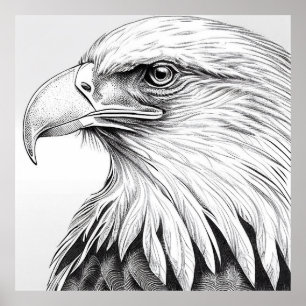 Affiche Oiseau d'aigle Nature sauvage Illustration animale